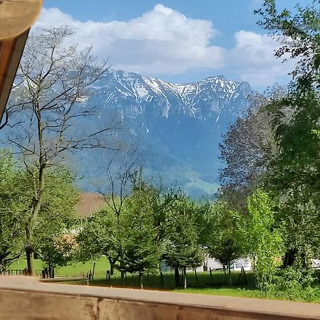 Ara Chalet Bran  Exterior foto