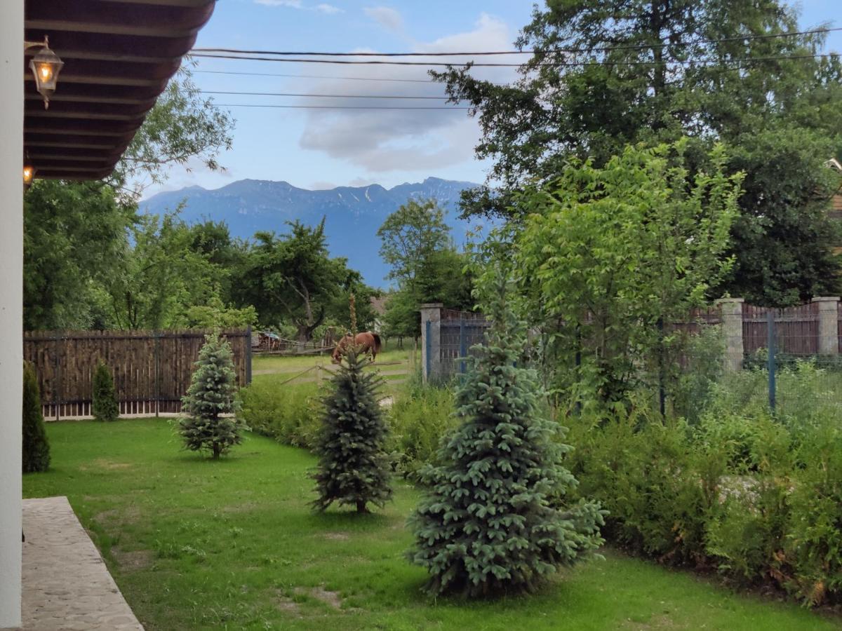 Ara Chalet Bran  Exterior foto